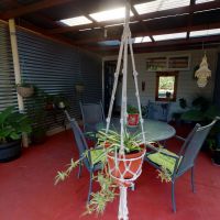 827 Laurie Street MOUNT PLEASANT VIC 3350