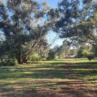 328 Lavis Road HOPEFIELD NSW 2646
