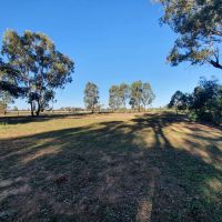 328 Lavis Road HOPEFIELD NSW 2646