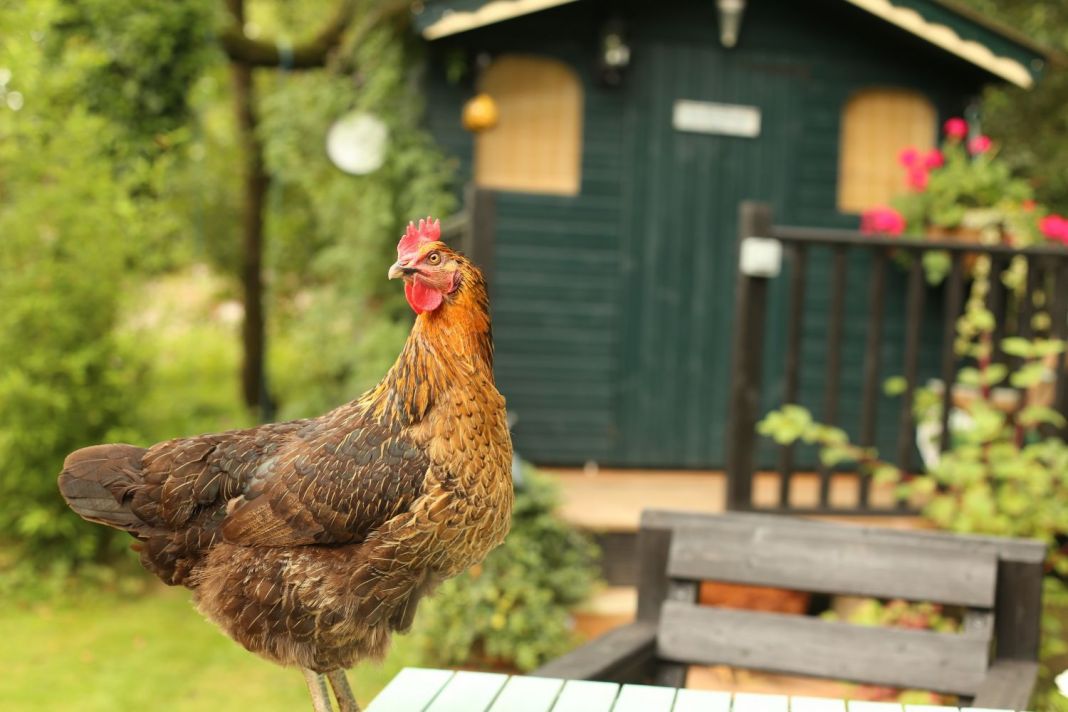 How to avoid cocky real estate agents
