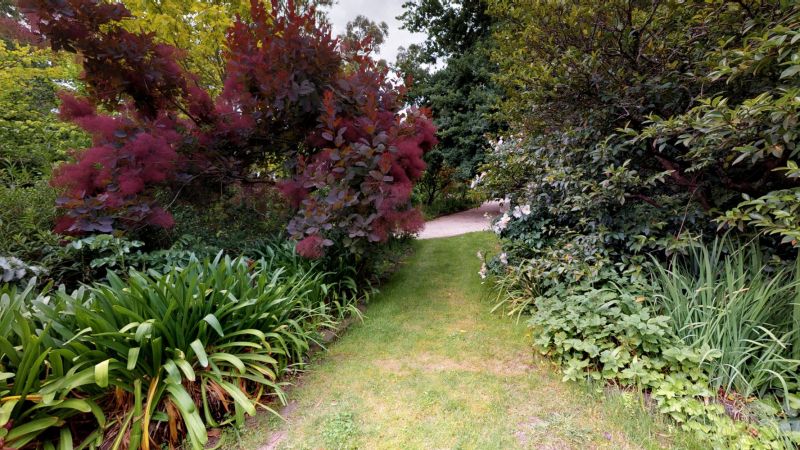 1550 Midland Highway Creswick VIC 3363 