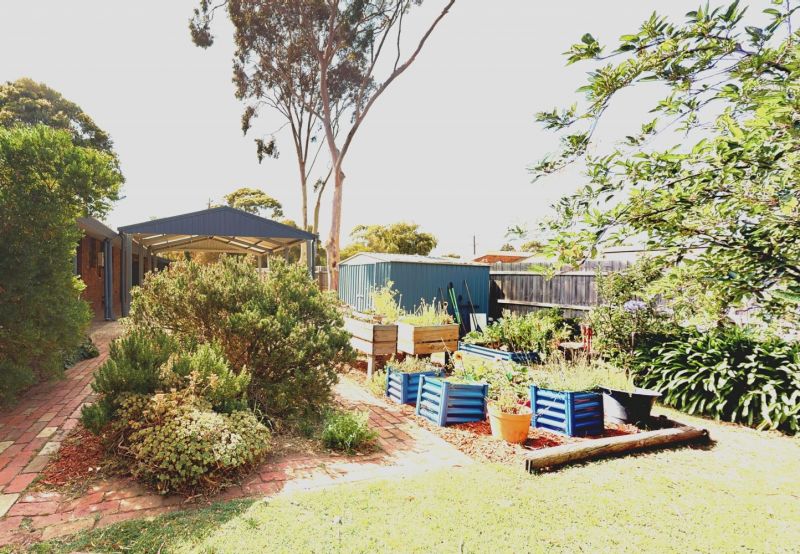 4 Mitchell Drive LEOPOLD VIC 3224 